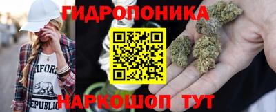 дживик Ливны