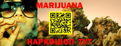 сатива Лесосибирск