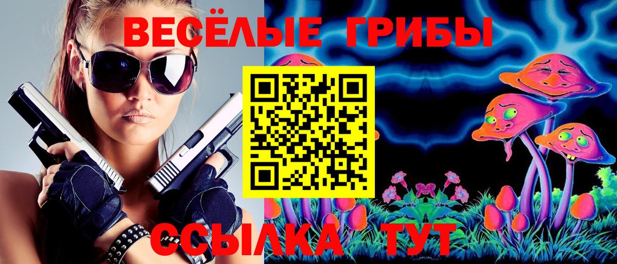 Сорочинск  Псилоцибиновые грибы GOLDEN TEACHER  Псилоцибиновые грибы MAGIC MUSHROOMS  Вход с VPN 